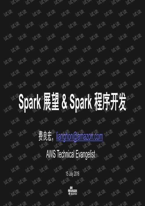 Spark技術(shù)展望與應(yīng)用開(kāi)發(fā) 云計(jì)算巨擘AWS資深顧問(wèn)的專(zhuān)業(yè)洞見(jiàn)
