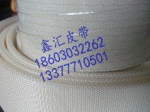 供應帆布輸送帶 東莞市鑫匯流水線機械配件廠 輸送帶 工業(yè)皮帶 擋板加工皮帶 馬達 變頻器